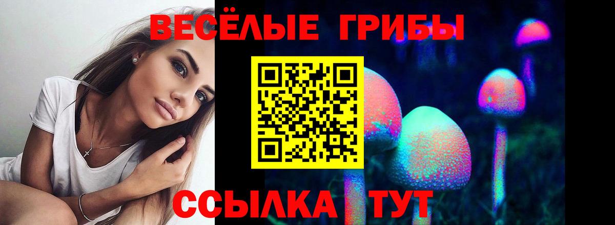 Соль-Илецк  Галлюциногенные грибы мухоморы  Вход с VPN 